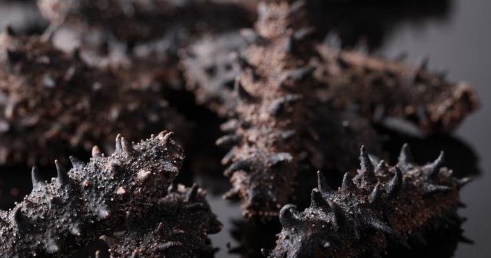 进口海参和国产海参区别,韩国进口海参