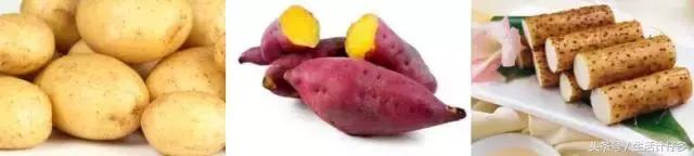 调理肠胃不好的食材药膳,肠胃不好的人炒菜能放哪些调料