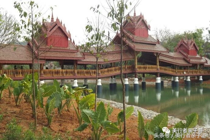 到版纳一定要体验一场泼水狂欢,云南景洪泼水节之旅
