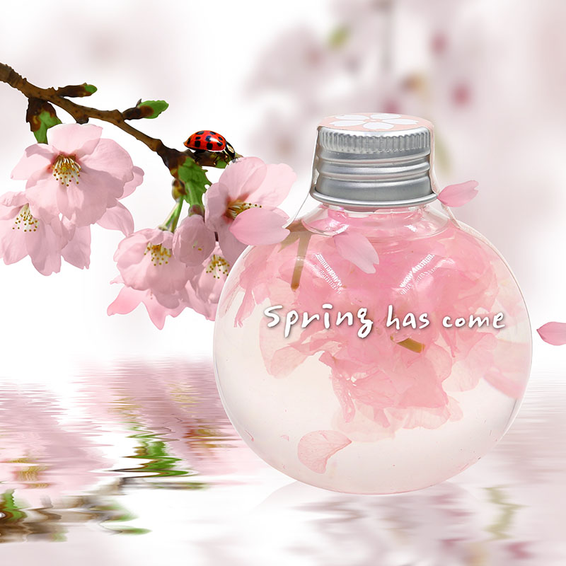 樱花季日本机票购买攻略,樱花季的限定礼盒