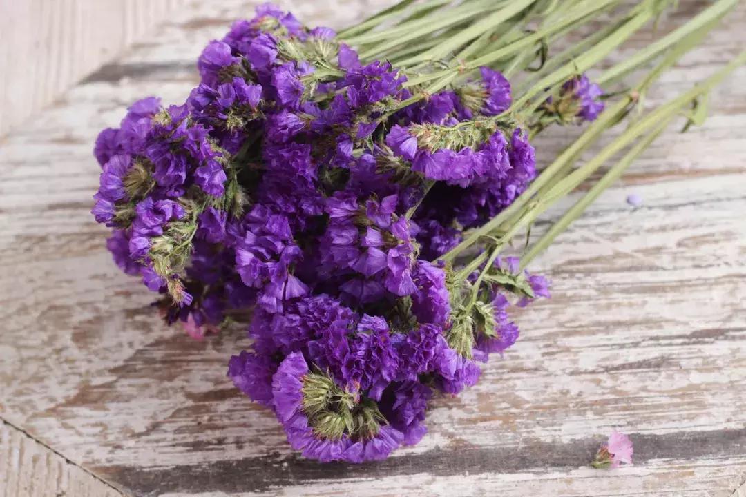 永生花制作方法视频直播,永生花插花制作方法