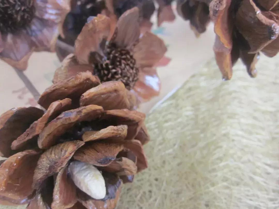 永生花制作方法视频直播,永生花插花制作方法