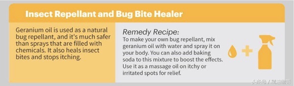 天竺葵精油涂在哪里止痛,面部专用精油天竺葵精油