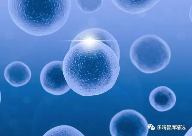 免疫治疗是癌症的克星吗,免疫治疗癌症最新突破药品