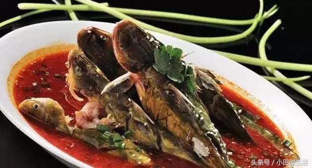 这种鱼一般到夜晚才浮游到水面觅食，钓鱼取钩捉它时容易被刺伤！