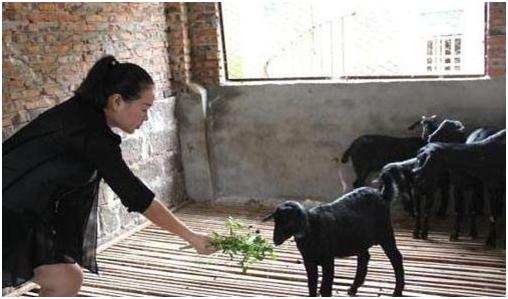 草根创业者如何逆袭人生,青年人创业成功的十大案例分享