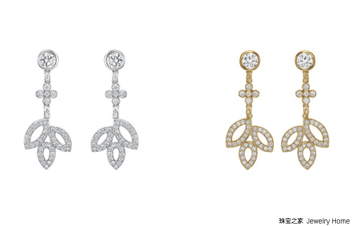 花草丛中，最爱的还是那朵LilyCluster