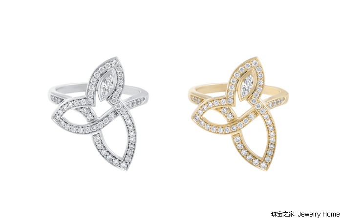 花草丛中，最爱的还是那朵LilyCluster