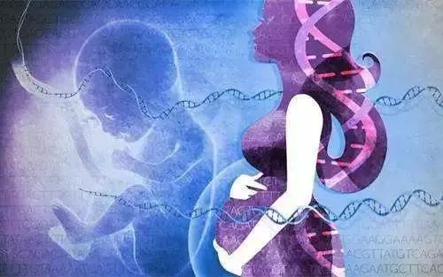 无创产前基因检测（NIPT）作用巨大