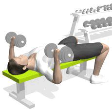 初学者如何用哑铃健身训练,健身房肌肉哑铃