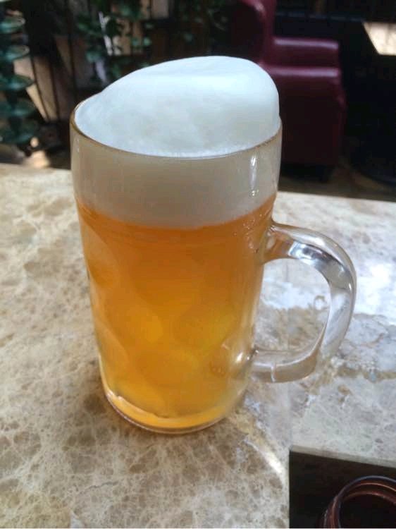 君子兰怎么养能让它开花长得快,君子兰怎么养才能更旺盛开花快