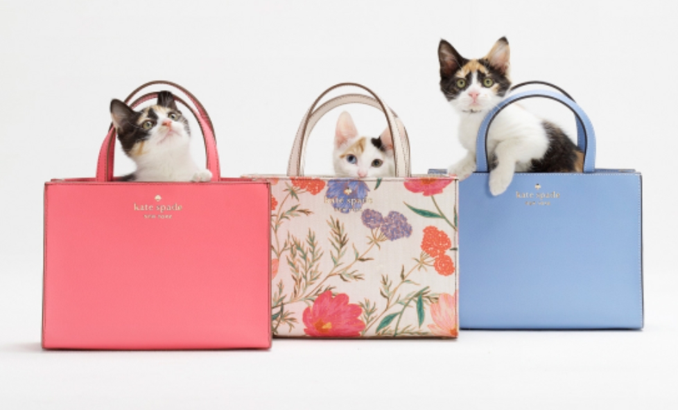 女款包包轻奢品牌大全,男生包包轻奢品牌排行榜