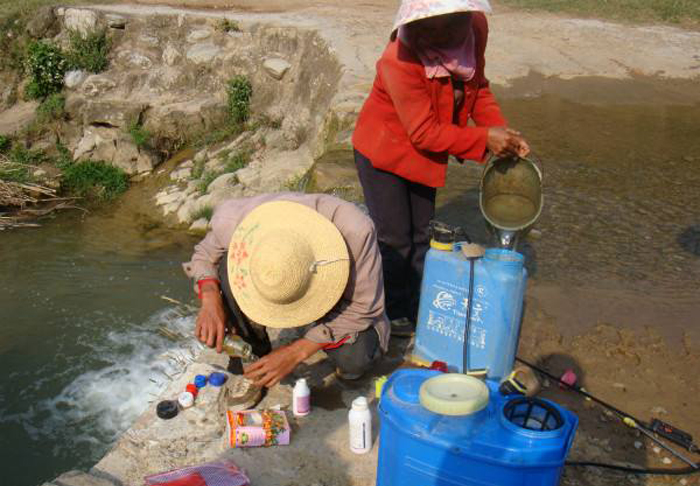 喷农药加洗衣粉能提高药效吗,打农药为啥要加点洗衣粉