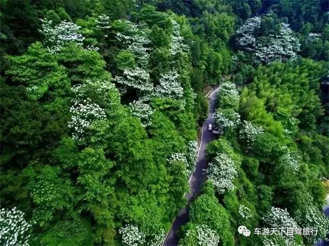 浙江温州最美海边公路推荐,温州公路旅游攻略