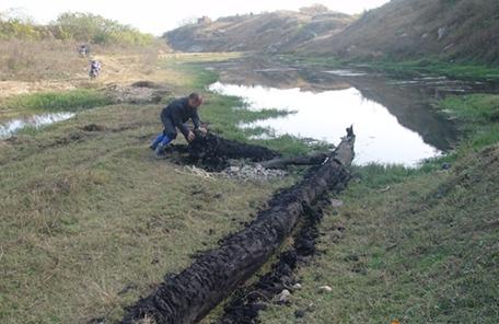 乌木怎么形成,乌木怎么形成的