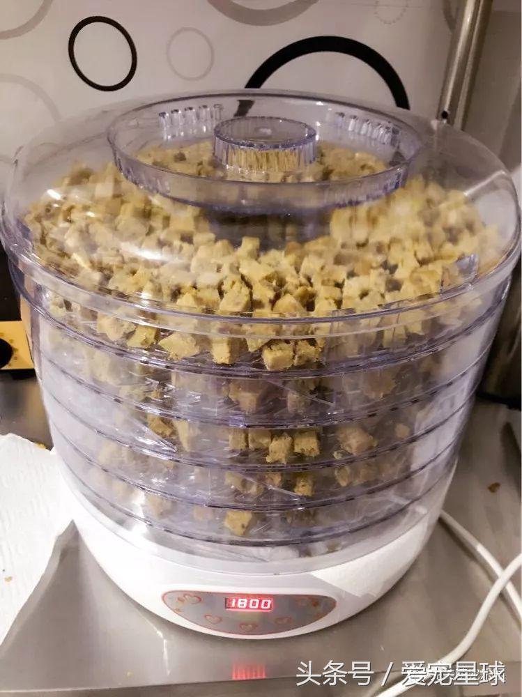 幼犬狗粮自制狗粮教程,怎么给狗自制狗粮器