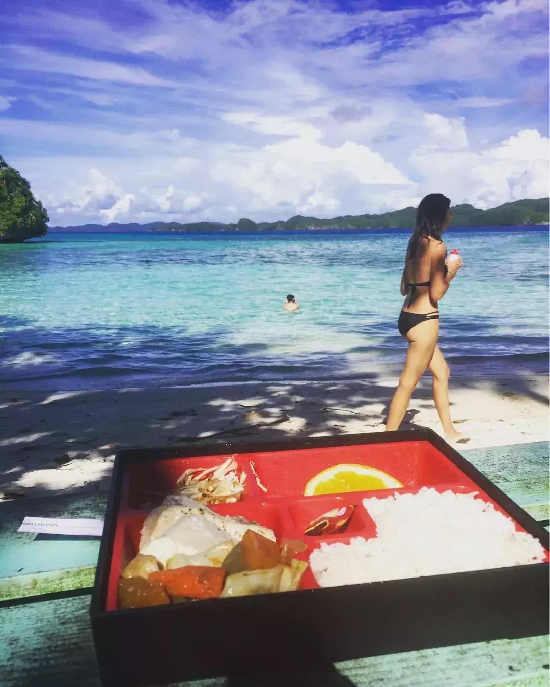 帕劳出行攻略详细,帕劳国内怎么去