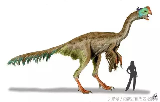 洗干净的恐龙,不可驯服的恐龙