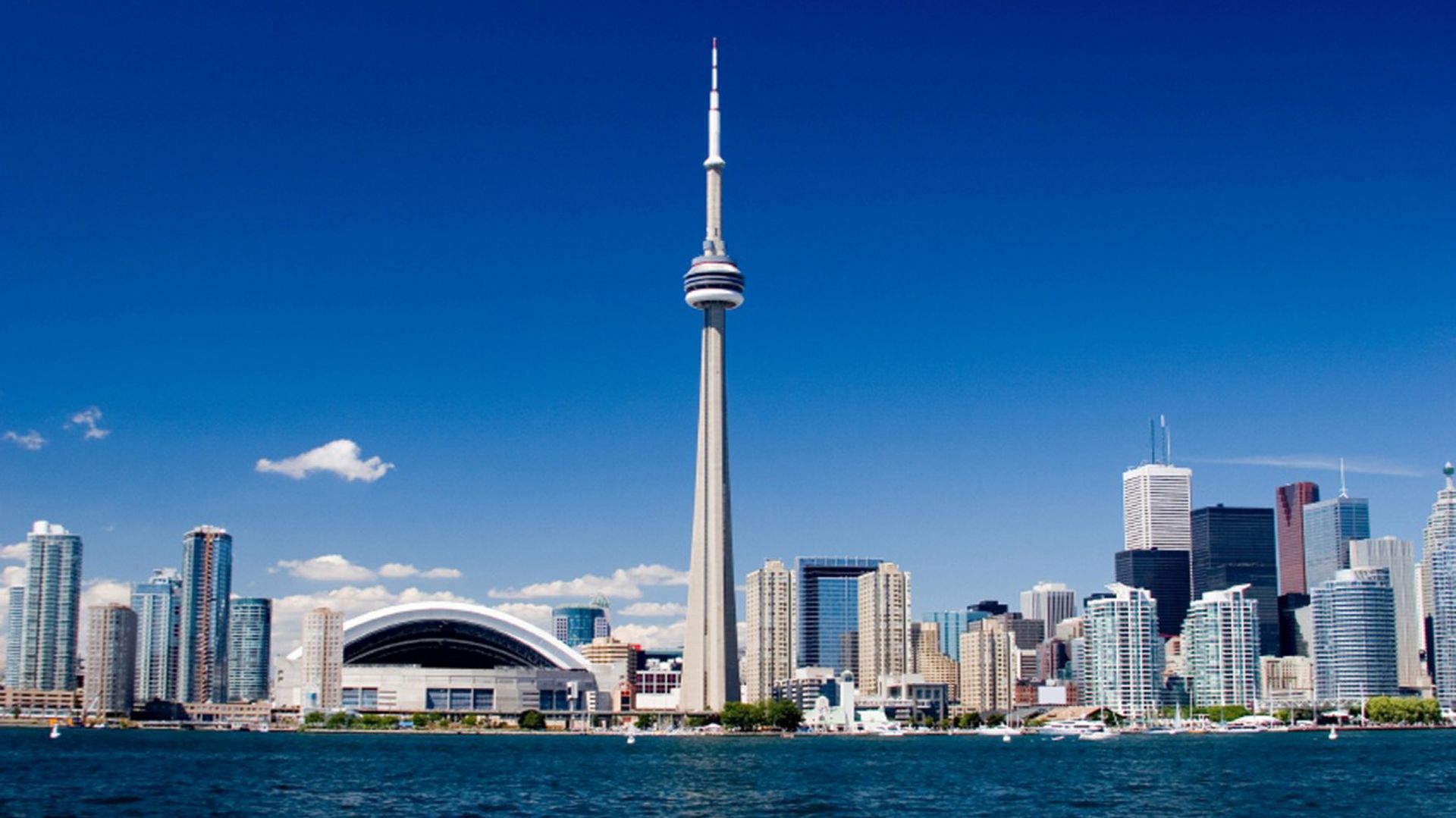 固态洗发水推荐,固体洗发水