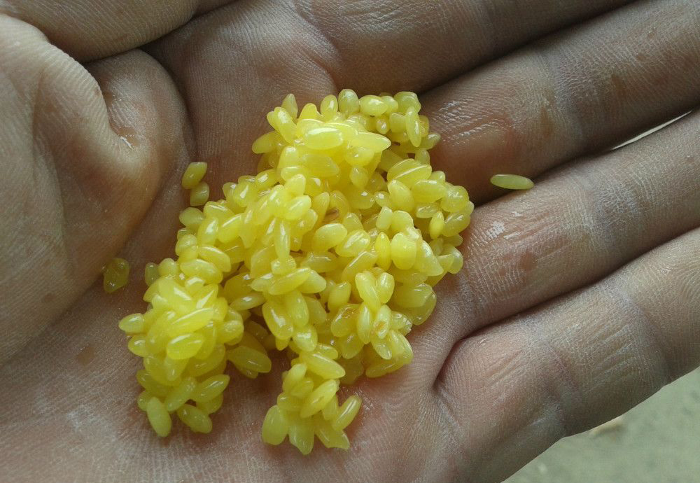 钓鱼可以用鸿茅药酒泡酒米吗?钓的鱼可以吃吗?