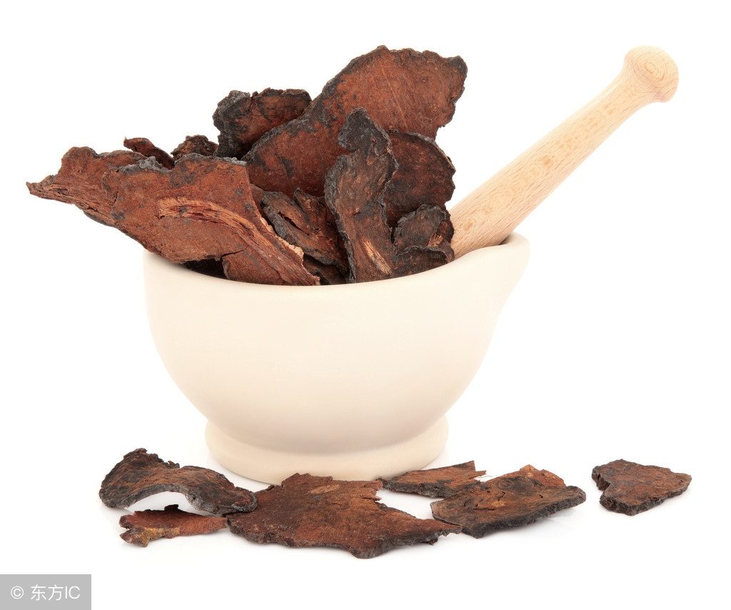 <html>
<head><title>502BadGateway</title></head>
<body>
<center><h1>502BadGateway</h1></center>
<hr><center>nginx</center>
</body>
</html>
<!--apaddingtodisableMSIEandChromefriendlyerrorpage-->
<!--apaddingtodisableMSIEandChromefriendlyerrorpage-->
<!--apaddingtodisableMSIEandChromefriendlyerrorpage-->
<!--apaddingtodisableMSIEandChromefriendlyerrorpage-->
<!--apaddingtodisableMSIEandChromefriendlyerrorpage-->
<!--apaddingtodisableMSIEandChromefriendlyerrorpage-->
