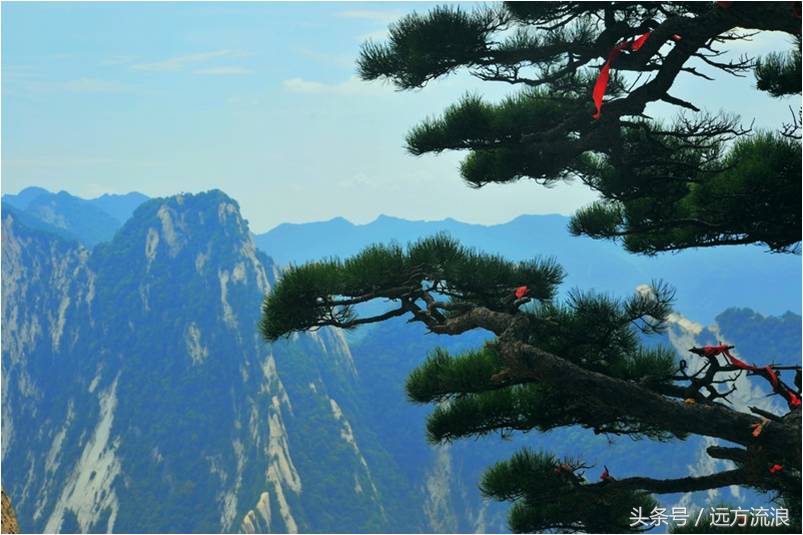 登上华山感悟,登华山之巅显勇者风范