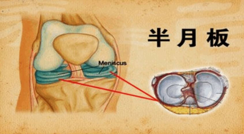 不伤膝盖正确的站桩姿势及方法,膝盖疼最好的运动方法
