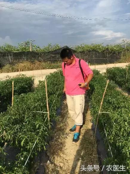 这家企业新模式，让农资店老板收入翻几倍加盟还送核心技术！