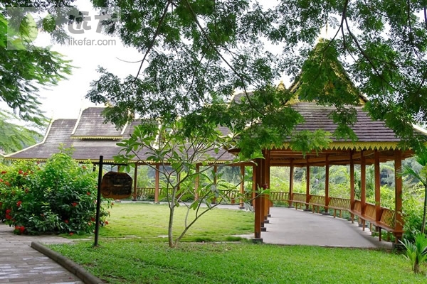 云南这条铁路最新进展,云南正在修建的高速铁路