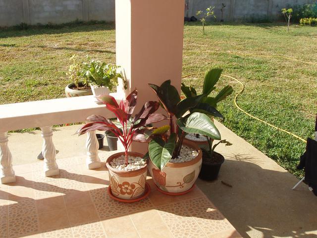 表哥建新房,表哥结婚布置房子