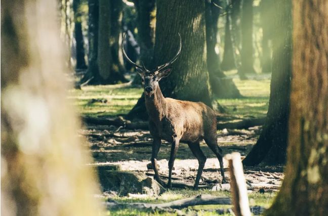 看片看了这么久，发现姿势都是错的……