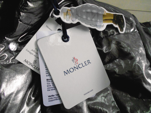 嘉兴网红羽绒服 (实体店卖的网红羽绒服是仿版吗)