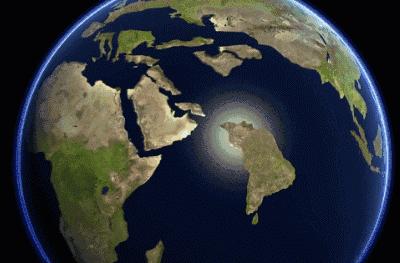 袋鼠在澳洲为什么那么温顺,澳大利亚袋鼠为什么没有灭绝