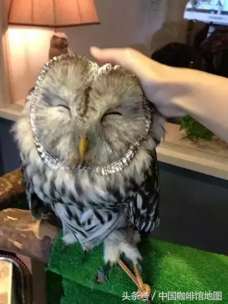 咖啡地图｜24小时不眠不休的奇妙咖啡馆之旅