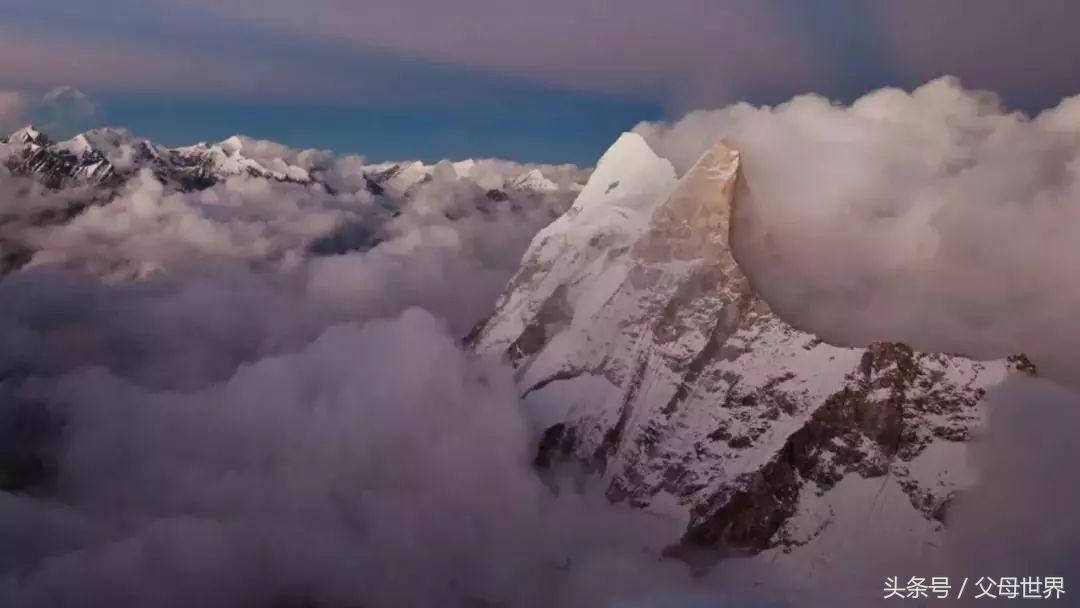 世界地球日，最适合孩子看的18部自然纪录片，趁周末，带娃看起来