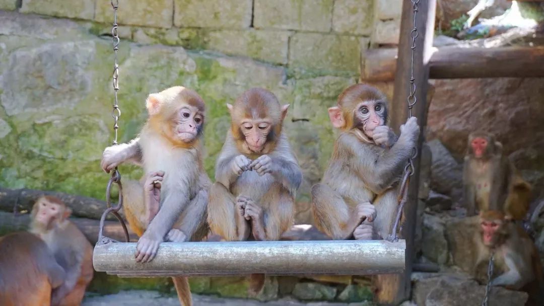 黄冈旅游一日游 (武汉黄冈景区有哪些景点)