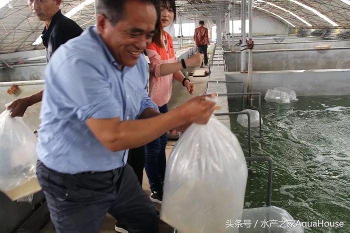 水产塘口每日最新报价,水产频道淡水鱼今日行情