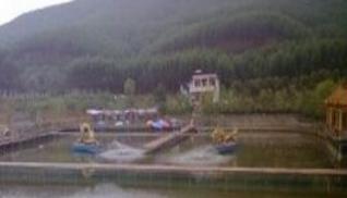 广西南宁钓鱼钓点,广西最新钓鱼技巧