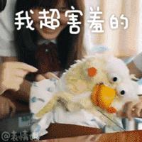 广州比较火的日式拉面店推荐,广东最好吃的拉面馆