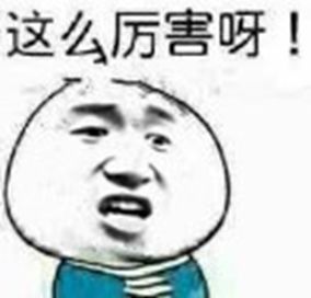 要不要当个药理高手？梦幻西游三药特性了解一下