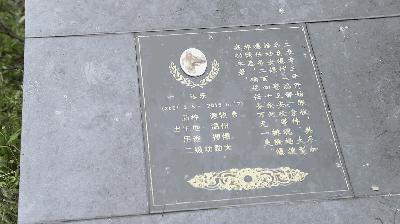 走进神秘警犬基地！解密“神犬”是怎样炼成的……