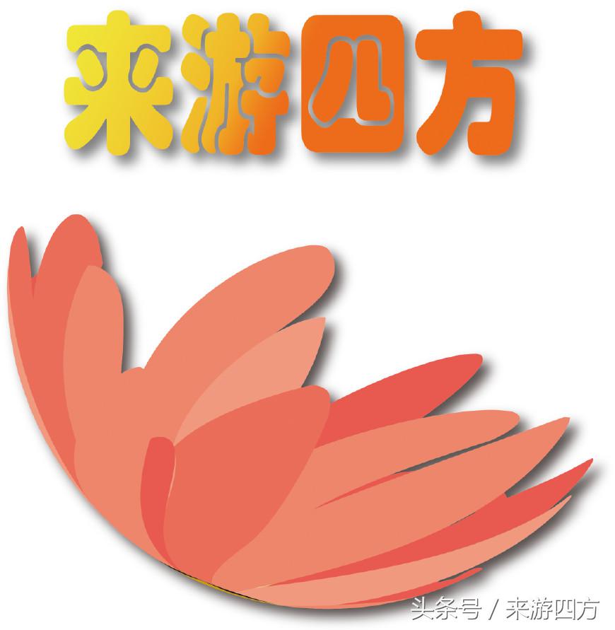 博卡拉尼泊尔游记,我的尼泊尔驴行纪实之旅