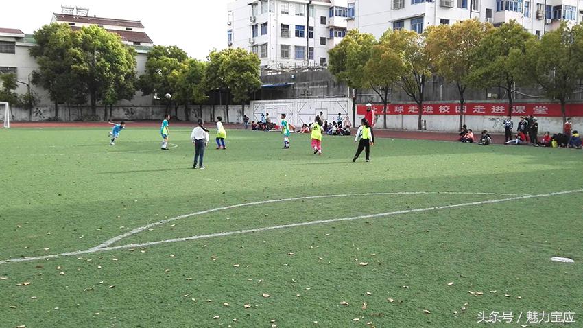 泰山区中小学生足球联赛,泰山区足球比赛中小学