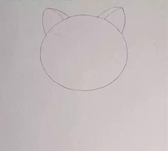怎么画简笔猫慢教程,起司猫怎么画简笔可爱