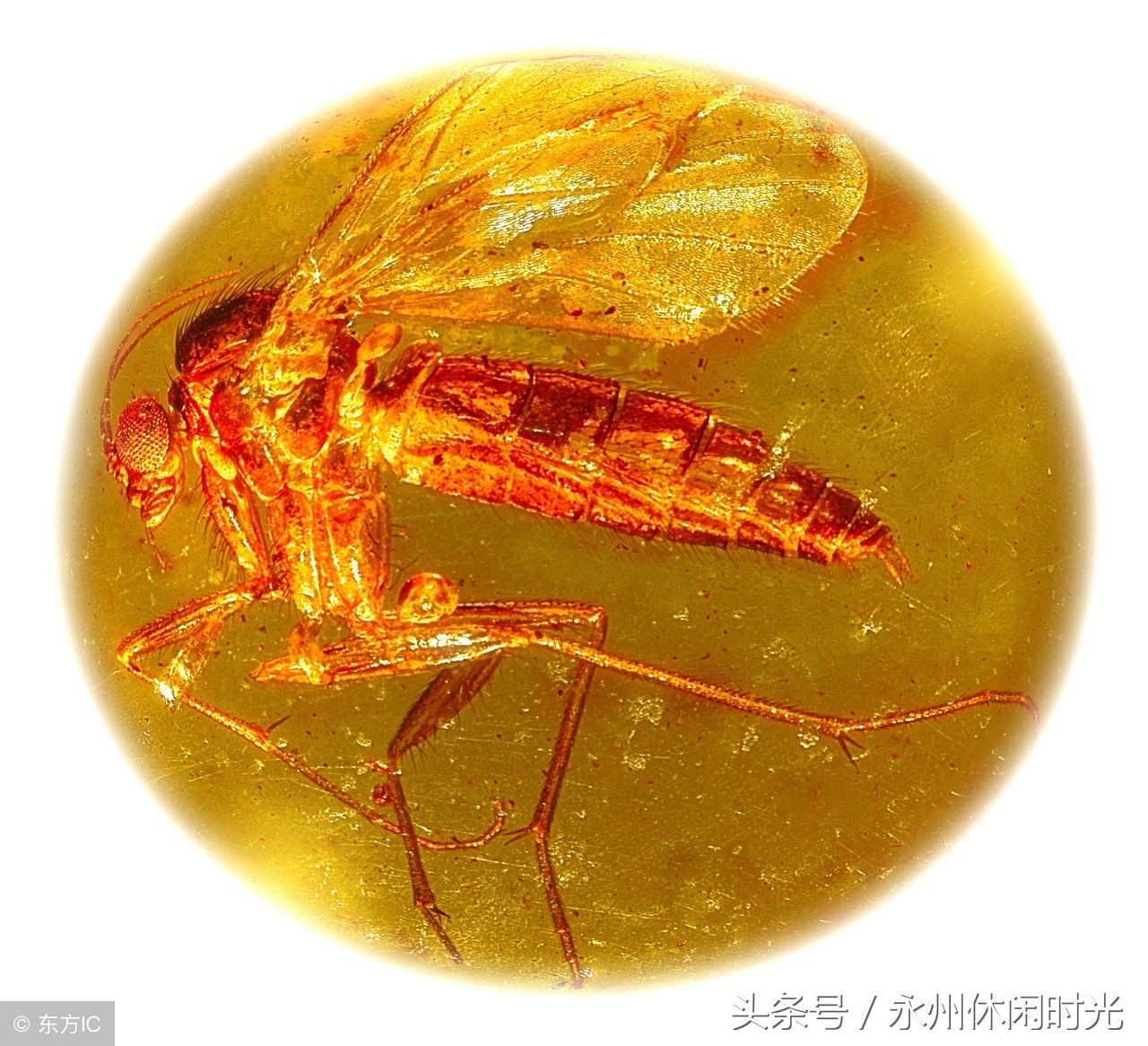 十大垃圾文玩手串血龙木,文玩圈攻陷手串