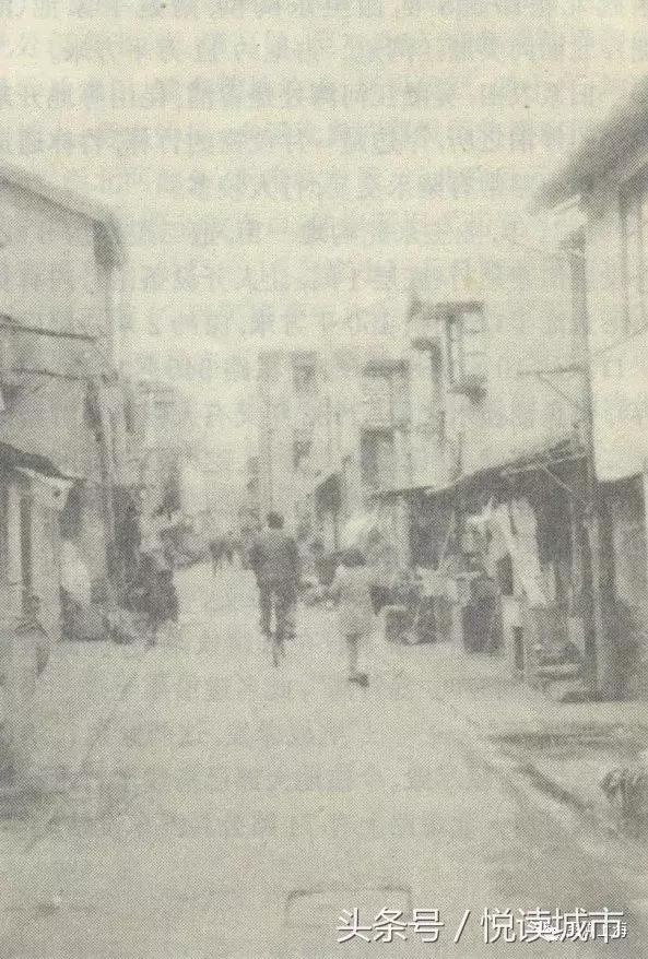 悦读城市,悦读城市完整版