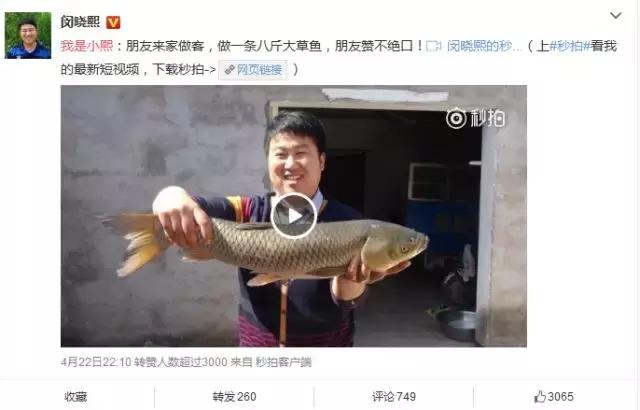 美食类短视频内容及变现方式浅析,美食类自媒体内容质量不高的原因