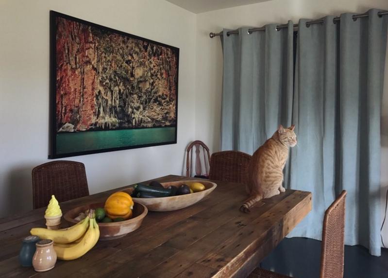 住在美国房车营地,美国房车自驾游的真实生活