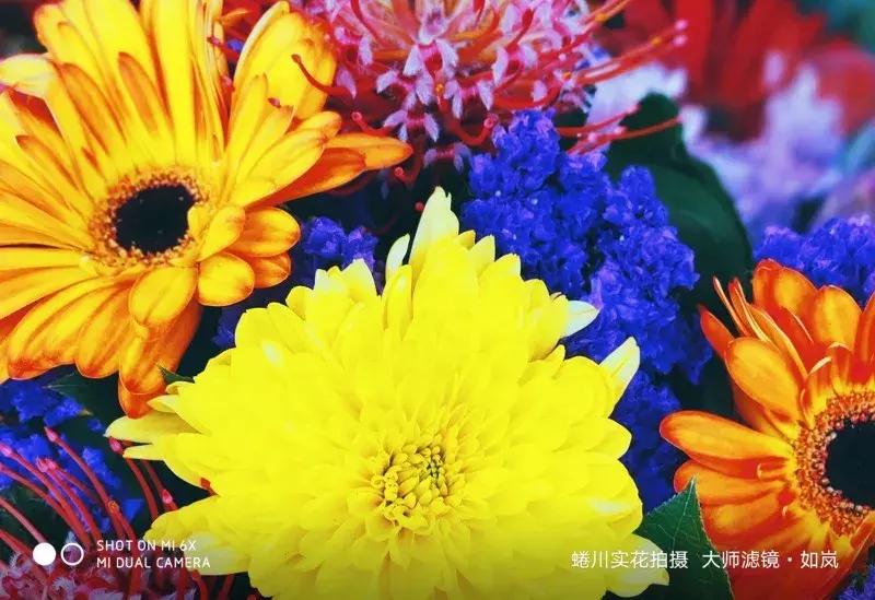 小米6x2023年售价多少钱,小米6x值得入手吗现在