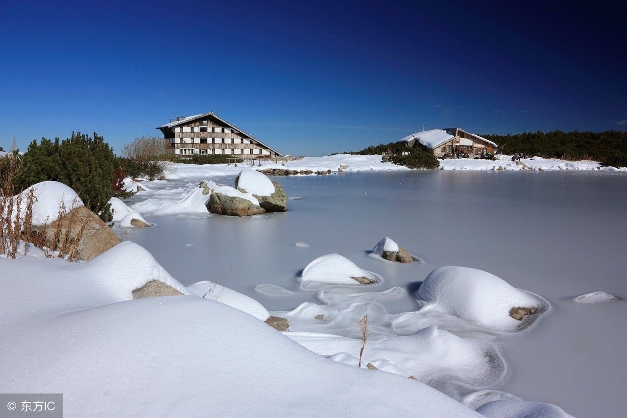 长大了请告别童真,放下梦想准备战斗